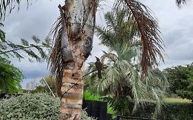 Tui Glade Bed And Breakfast